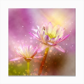 Lotus Flower 1 Canvas Print