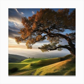 Lone Tree 16 Canvas Print