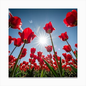 Vibrant red tulips reach towards the bright sun under a clear blue sky Canvas Print