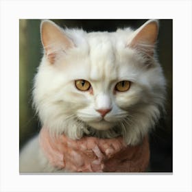 Default Pictures Of Siamo Cats 3 Canvas Print