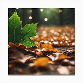 Autumn Leaf In The Forest Canvas Print