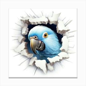 Blue Parrot Canvas Print