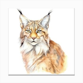 Balkan Lynx Cat Portrait Canvas Print