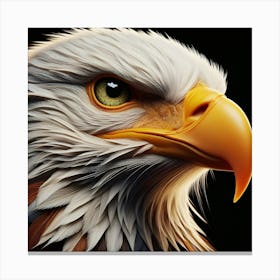 Eagle Canvas Print