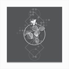 Vintage Trillium Rhomboideum Botanical with Line Motif and Dot Pattern in Ghost Gray n.0016 Canvas Print