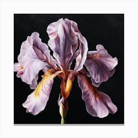 BLue Iris Canvas Print