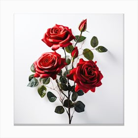 Red Roses On White Background Canvas Print
