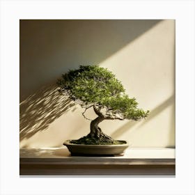 Firefly Bonsai, Tree, Minimalist, Setting, Soft, Shadows, Neutral, Background, Serene, Calm, Nature, (10) Canvas Print