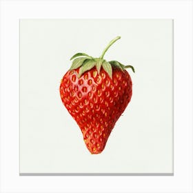 Strawberry Stock Videos & Royalty-Free Footage Canvas Print