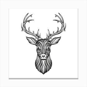 Deer Head 1 Canvas Print