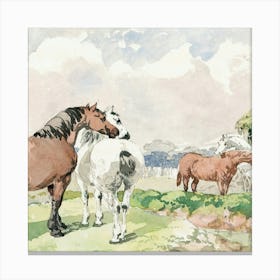 Horses In The Meadow Canvas Print