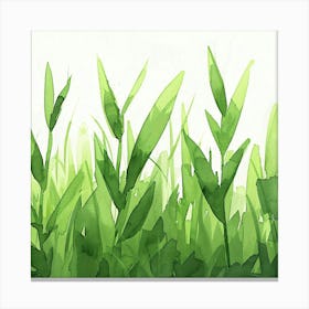 Watercolor Of Grass Canvas Print