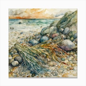 Seaweed Canvas Print