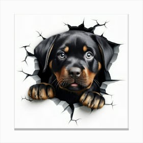 Rottweiler Puppy 2 Canvas Print