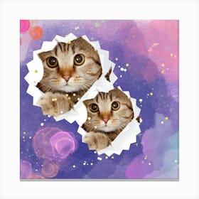 Two Cats Looking At Each Other Canvas Print