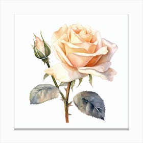 Watercolor Rose 3 Canvas Print