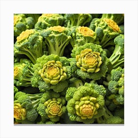 Close Up Of Broccoli 14 Canvas Print