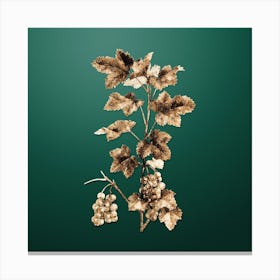 Gold Botanical Redcurrant Plant on Dark Spring Green n.0293 Canvas Print