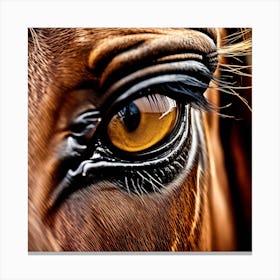 Eye Of A Horse 9 Canvas Print