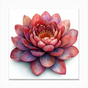 Lotus Flower 17 Canvas Print