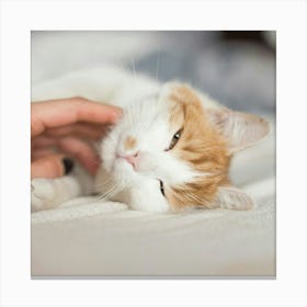 Cat Laying On A Bed Canvas Print