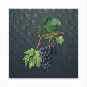 Vintage Brachetto Grape Botanical on Slate Gray Pattern n.0825 Canvas Print