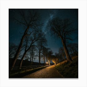 dark forest Canvas Print