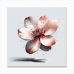 Cherry Blossom Canvas Print