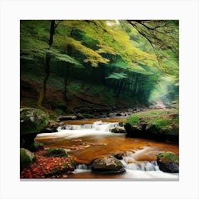 Stream In The Forest 11 Canvas Print