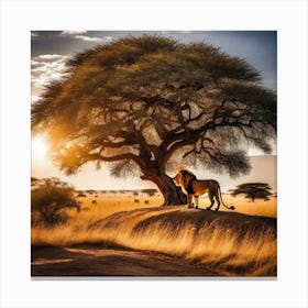 Lion Under The Tree 24 Canvas Print