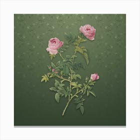 Vintage Rose of the Hedges Botanical on Lunar Green Pattern Canvas Print