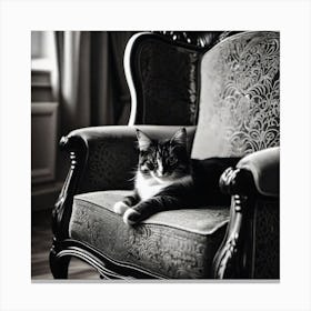 Cat In Chair Canvas Print