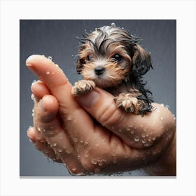 Puppy In Hand Canvas Print