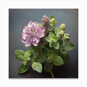 Clematis Canvas Print