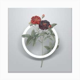Vintage Van Eeden Rose Minimalist Flower Geometric Circle on Soft Gray n.0286 Canvas Print