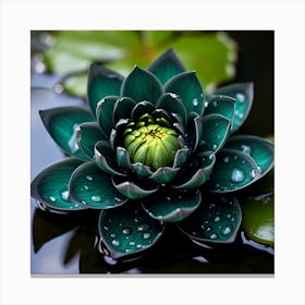 Lotus Flower 5 Canvas Print