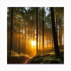 Sunrise In The Forest 8 Canvas Print