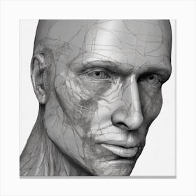 Human Head 3d Model 1 Canvas Print