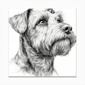 Airedale Terrier Canvas Print