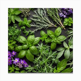 Top View Of Herbs On A Black Background 2 Canvas Print