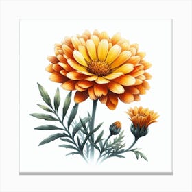 Flower of African marigold 2 Canvas Print