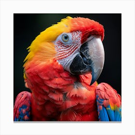 Colorful Parrot 14 Canvas Print
