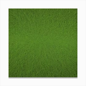 Grass Background 13 Canvas Print