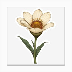 Dandelion Flower Canvas Print