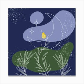 Moon And Stars 1 Canvas Print