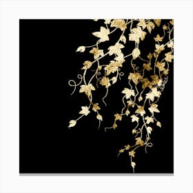 Gold Ivy On Black Background Canvas Print