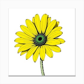 Yellow Daisy 5 Canvas Print