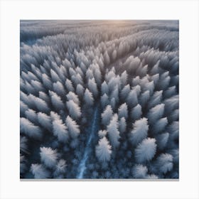 Aerial Photography Of A Winter Forest Canvas Print