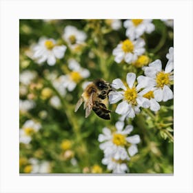 Bee On A Flower Canvas Print