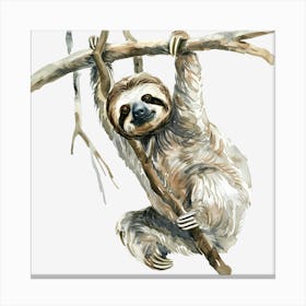 Sloth Hanging On A Branch Canvas Print